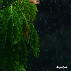 97人伦影院a级毛片
