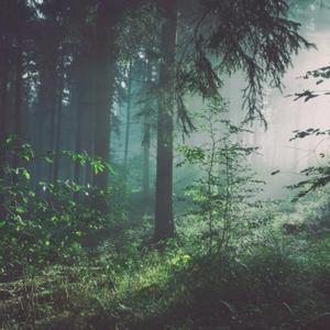 97人伦影院a级毛片
